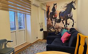 Luxury Stable 1